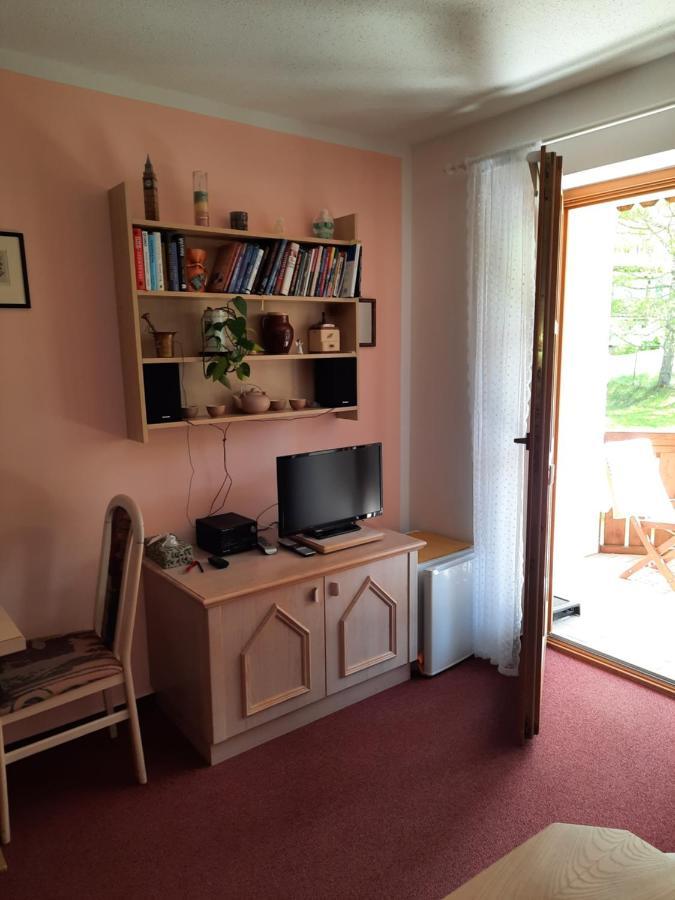Arberapartment Bayerisch Eisenstein Buitenkant foto