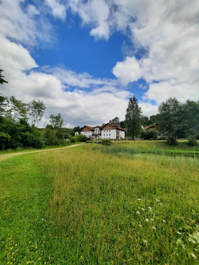 Arberapartment Bayerisch Eisenstein Buitenkant foto