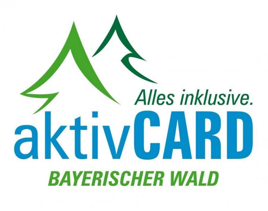 Arberapartment Bayerisch Eisenstein Buitenkant foto